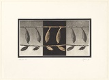 Artist: b'EWINS, Rod' | Title: b'Gourds.' | Date: 1976 January | Technique: b'photo-etching'
