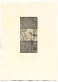Artist: Dunn, Richard. | Title: 100 Blossoms: five prisons V. | Date: 1988 | Technique: etching and lift-ground aquatint and screenprint
