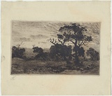 Artist: Abrahams, Louis. | Title: Landscape. | Date: 1886 | Technique: etching, printed in warm black ink with plate-tone, from one plate