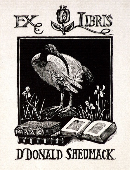 Artist: b'LINDSAY, Lionel' | Title: b'Book plate: Dr Donald Sheumack' | Date: 1958, July | Technique: b'wood-engraving, printed in black ink, from one block' | Copyright: b'Courtesy of the National Library of Australia' Artist: b'LINDSAY, Lionel' | Title: b'Book plate: Dr Donald Sheumack' | Date: 1958, July | Technique: b'wood-engraving, printed in black ink, from one block' | Copyright: b'Courtesy of the National Library of Australia'
