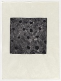 Artist: Head, Rachel. | Title: Patterned page from pillow book | Technique: linocut, printed in black ink, from one block