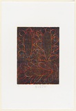 Artist: Williamson, Ruby. | Title: Untitled | Date: 2002 | Technique: woodcut