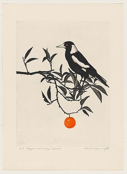 Artist: b'Rose, David.' | Title: b'Magpie and orange branch' | Date: 1978 | Technique: b'aquatint and watercolour'