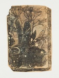 Artist: Sutherland, Jean. | Title: not titled [light flower, dark background]