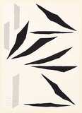 Artist: Dawson, Janet. | Title: Heidelbird flutter. | Date: 1981 | Technique: lithograph, printed in colour, printed in colour, from two plates | Copyright: © Janet Dawson. Licensed by VISCOPY, Australia