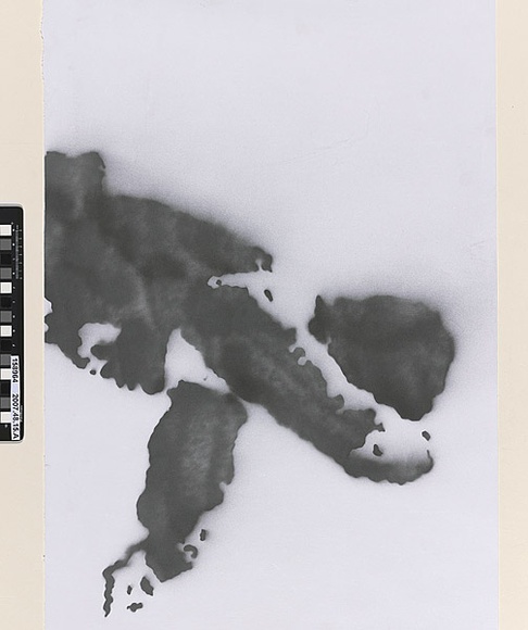 Artist: b'Azlan.' | Title: b'The west is best III.' | Date: 2003 | Technique: b'stencil, printed in balck ink, from one stencil'