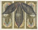 Artist: HALL, Fiona | Title: Hevea brasiliensis - Rubber (Brazilian currency) | Date: 2000 - 2002 | Technique: gouache | Copyright: © Fiona Hall