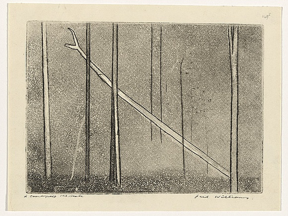 Artist: b'WILLIAMS, Fred' | Title: b'Fallen tree' | Date: 1962 | Technique: b'etching, engraving, aquatint, drypoint, printed in black ink, from one copper plate' | Copyright: b'\xc2\xa9 Fred Williams Estate' Artist: b'WILLIAMS, Fred' | Title: b'Fallen tree' | Date: 1962 | Technique: b'etching, engraving, aquatint, drypoint, printed in black ink, from one copper plate' | Copyright: b'\xc2\xa9 Fred Williams Estate'