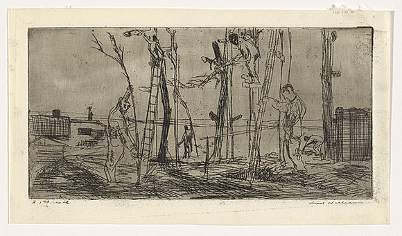 Artist: b'WILLIAMS, Fred' | Title: b'Tree pruning' | Date: 1955-56 | Technique: b'etching and foul biting, printed in black ink with plate-tone, from one brass plate' | Copyright: b'\xc2\xa9 Fred Williams Estate' Artist: b'WILLIAMS, Fred' | Title: b'Tree pruning' | Date: 1955-56 | Technique: b'etching and foul biting, printed in black ink with plate-tone, from one brass plate' | Copyright: b'\xc2\xa9 Fred Williams Estate'