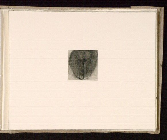 Artist: b'Mann, Gillian.' | Title: b'(Female lower torso).' | Date: 1981 | Technique: b'etching, printed in black ink, from one plate' Artist: b'Mann, Gillian.' | Title: b'(Female lower torso).' | Date: 1981 | Technique: b'etching, printed in black ink, from one plate'