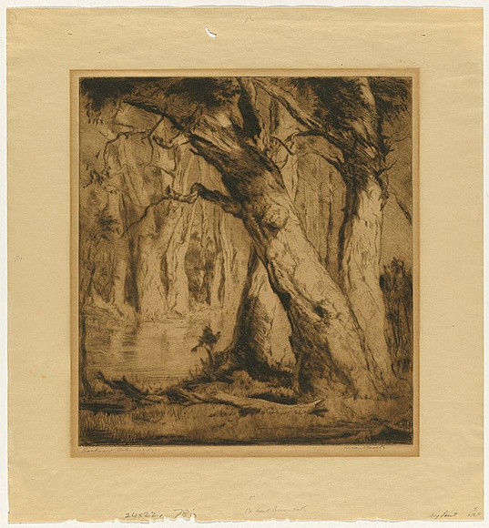 Artist: van RAALTE, Henri | Title: Banks and boles | Date: 1920 | Technique: drypoint, printed in brown ink with plate-tone, from one plate Artist: van RAALTE, Henri | Title: Banks and boles | Date: 1920 | Technique: drypoint, printed in brown ink with plate-tone, from one plate