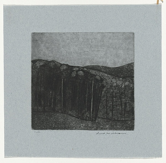 Artist: b'WILLIAMS, Fred' | Title: b'Forest at Almerton. Number 2' | Date: 1962 | Technique: b'aquatint, drypoint and engraving, printed in black ink, from one copper plate' | Copyright: b'\xc2\xa9 Fred Williams Estate' Artist: b'WILLIAMS, Fred' | Title: b'Forest at Almerton. Number 2' | Date: 1962 | Technique: b'aquatint, drypoint and engraving, printed in black ink, from one copper plate' | Copyright: b'\xc2\xa9 Fred Williams Estate'