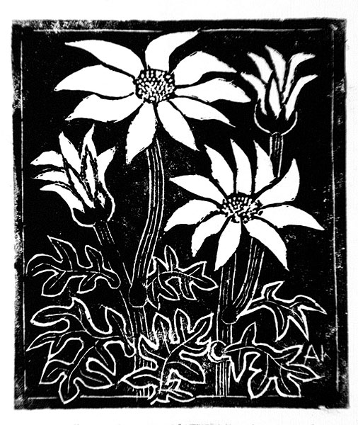 Birthday card for Judy: Flannel flowers (1989) by Amie Kingston (1908 ...